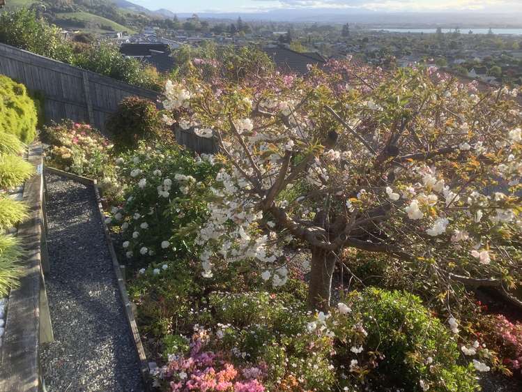 6 Norfolk Place Stoke_24