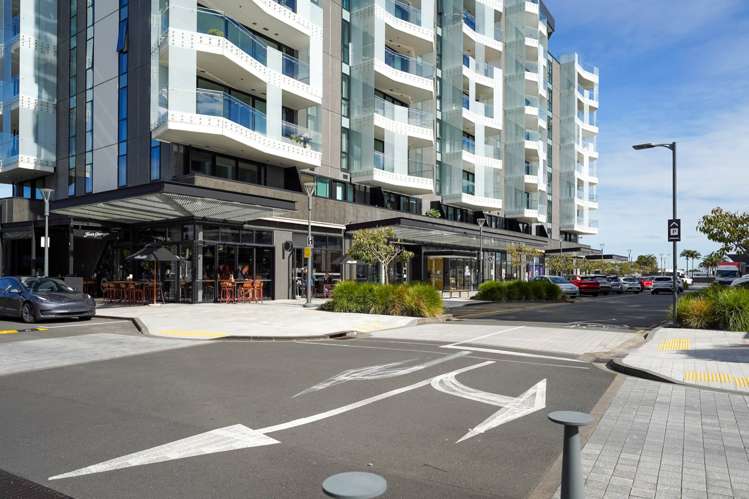 608/223B Green lane West Epsom_30