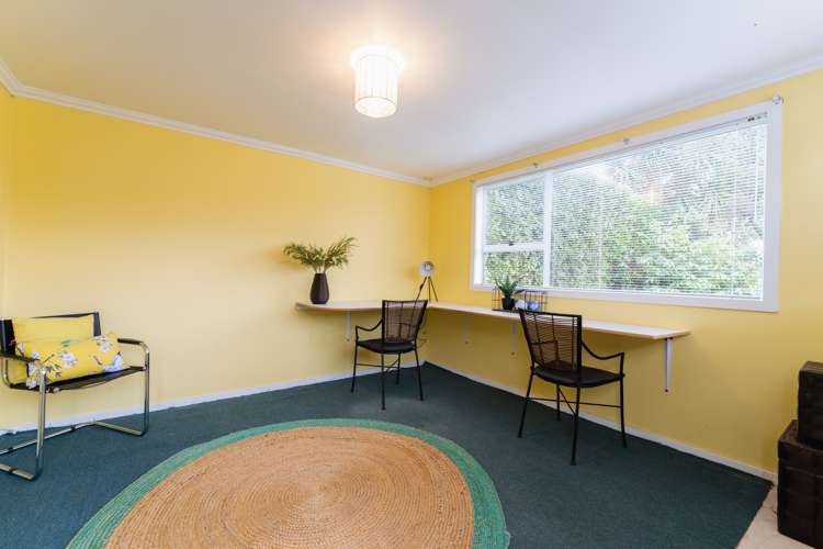 7 Vampire Road Waldronville_23