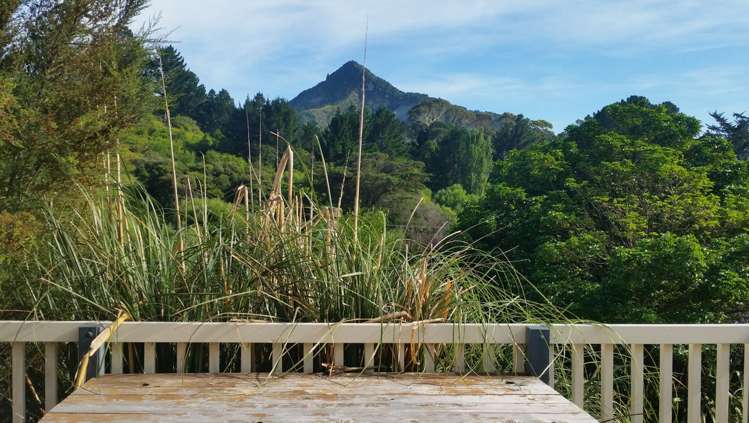 3554 Waiapu Road Tokomaru Bay_22