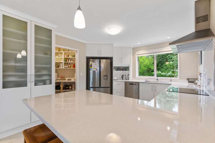 624a Te Rahu Road Te Awamutu_9