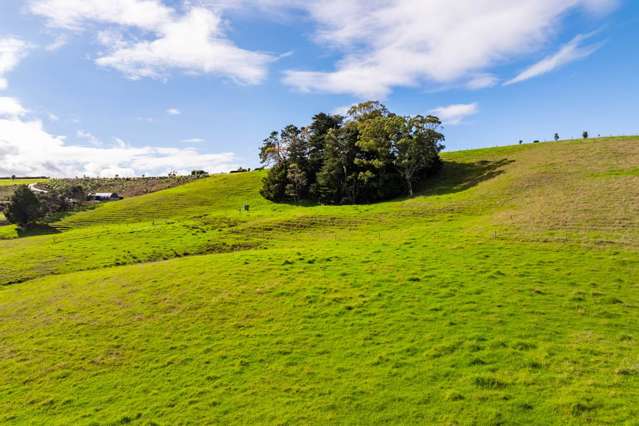 88 Heatherlea Drive Ruakaka_4