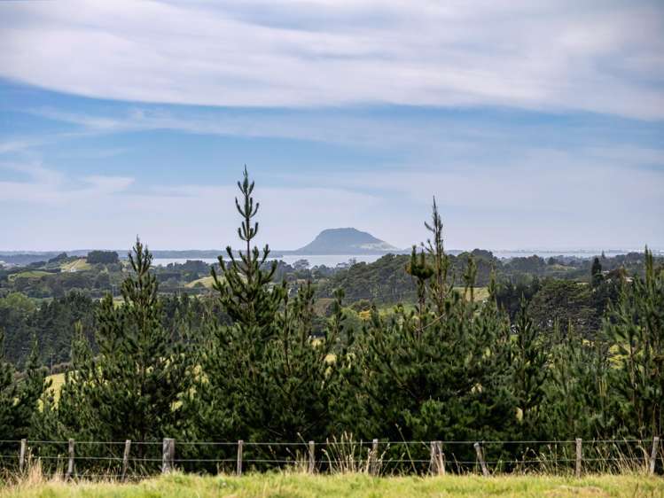 371 Esdaile Road Whakamarama_7