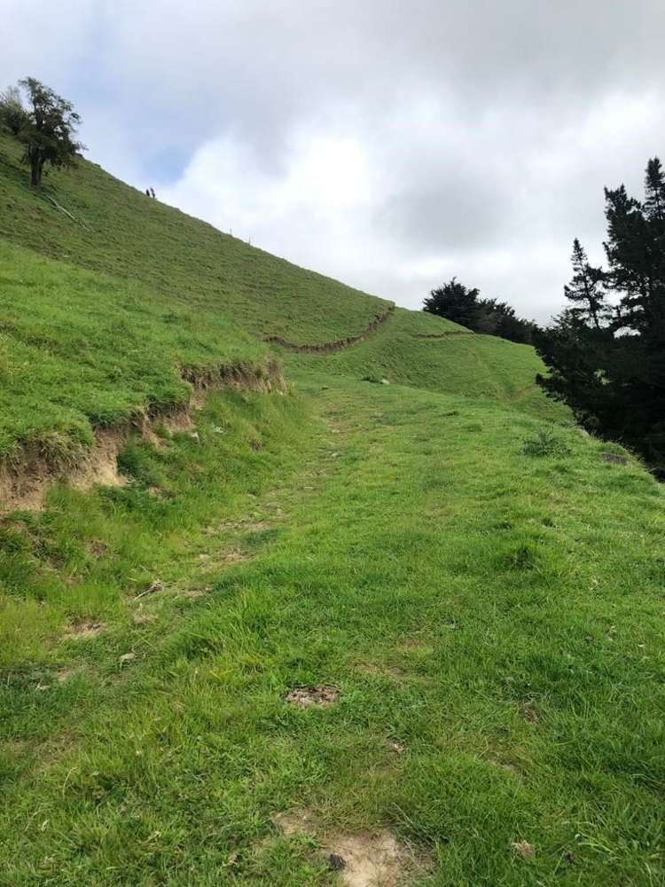 4990 Christchurch Akaroa Road Little River_0