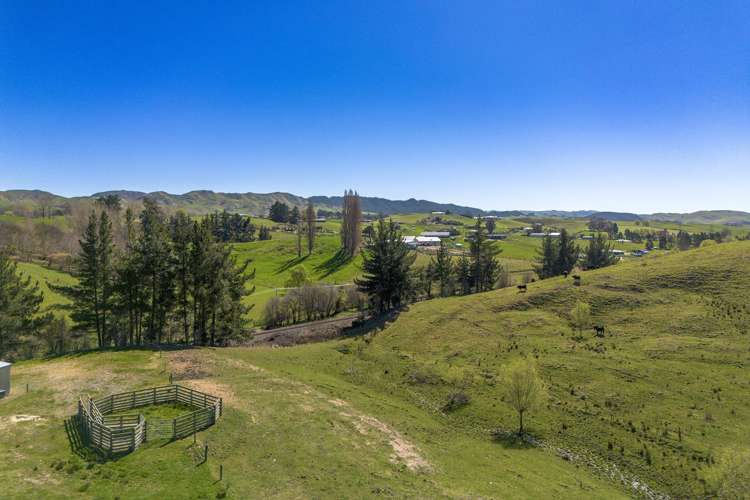 91 Tiffen Lane Waipawa_14