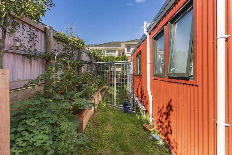 65 Dunrobin Street Waverley_7