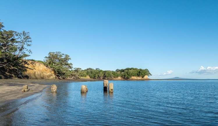 3 Daisy Burrell Drive Gulf Harbour_69