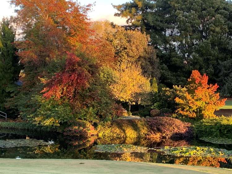 93 Motueka Quay Motueka_18