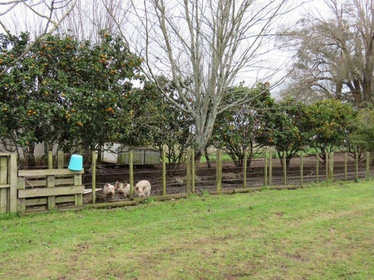255 Gibbon Road Morrinsville_14