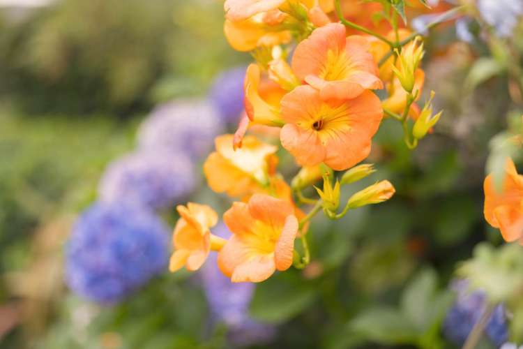 104 Waterside Drive Pyes Pa_24