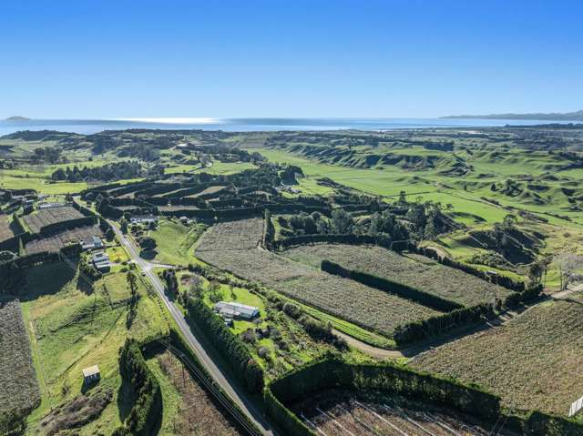 501 Paerata Ridge Road Opotiki and Surrounds_4