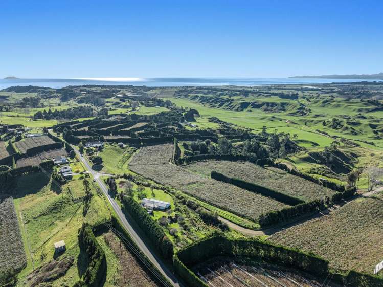 501 Paerata Ridge Road_4