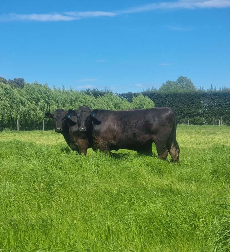 140 Hudsons Road Lincoln_16