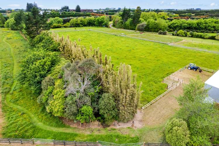 129 Richmond Road Waitara_30