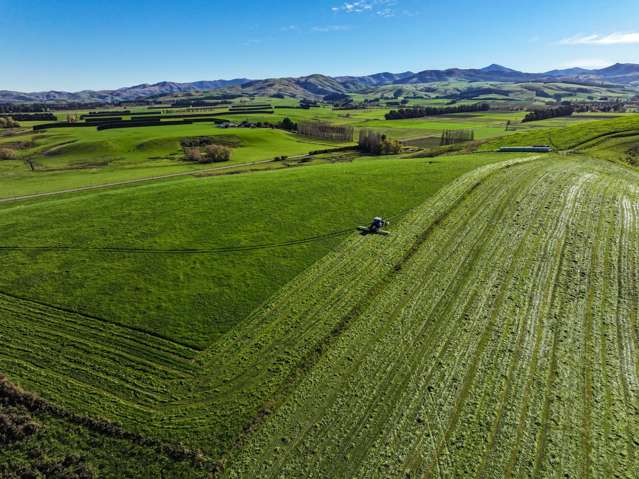 80 McDonald Road Wendonside_1