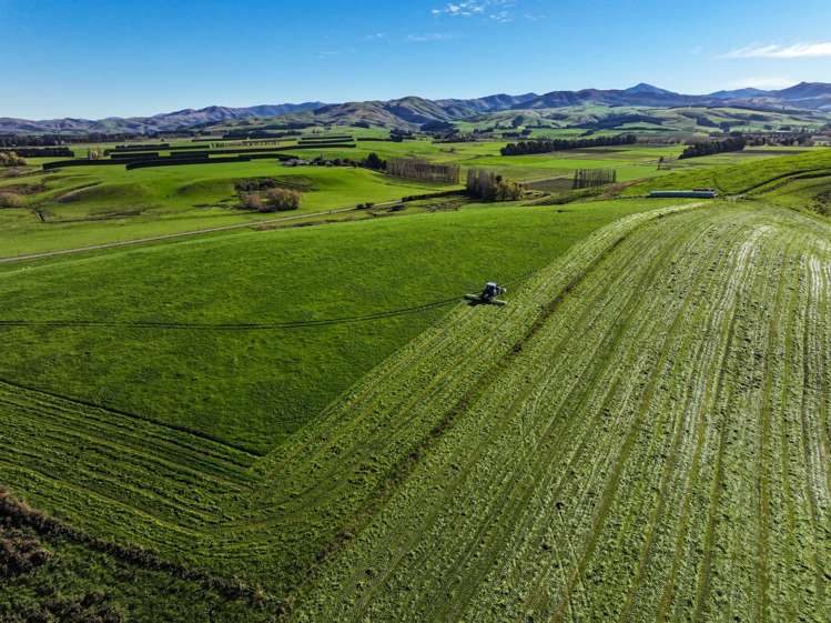 80 McDonald Road Wendonside_1