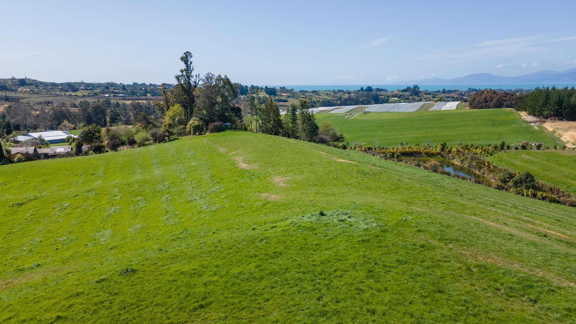 171 Dominion Road Mahana_0
