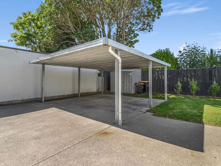 6b Exeter Street Mount Maunganui_14