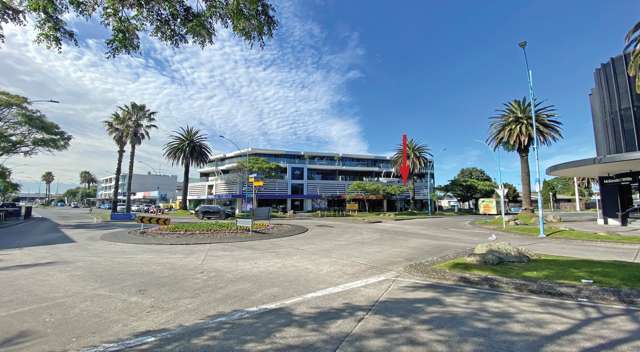 314 Maunganui Road Mt Maunganui_3