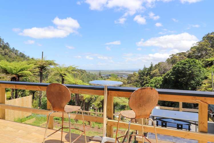 113 Collarbone Road Thames_24