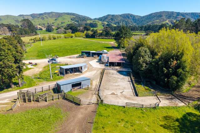 100 Inglis Road Pahiatua_2