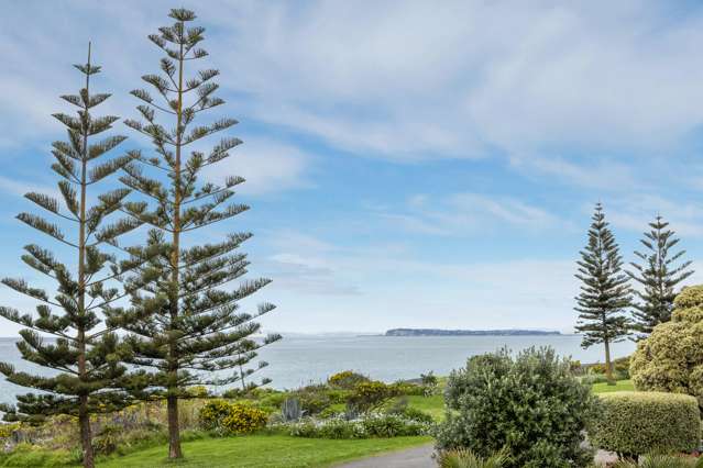 238 Whirinaki Road Eskdale_1