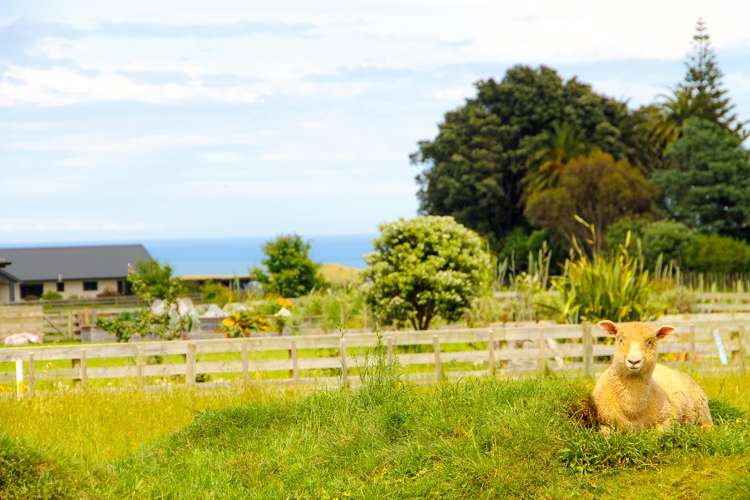 121b Seafield Road Westmere_4