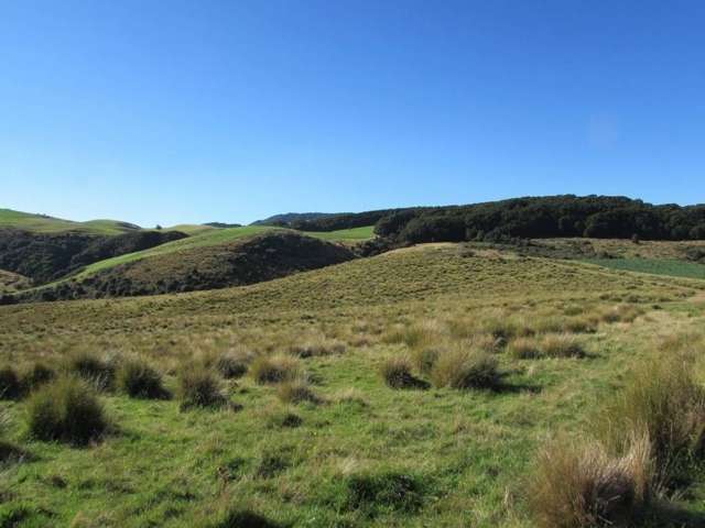 42 Bushside Road West Otago Surrounds_3