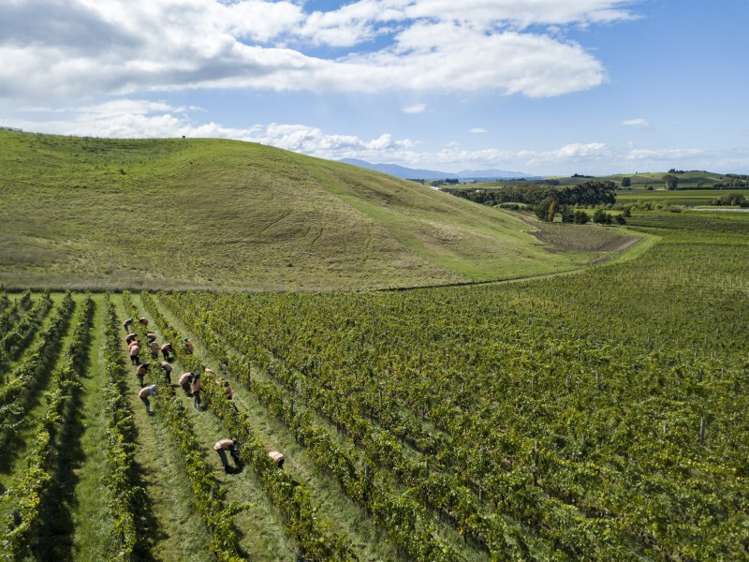 149 Wrekin Road Fairhall_11