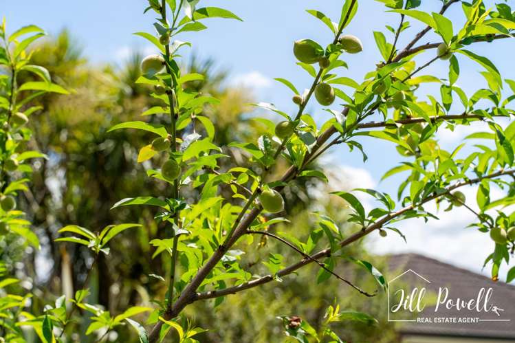 93C Jumna Road Maungaturoto_43