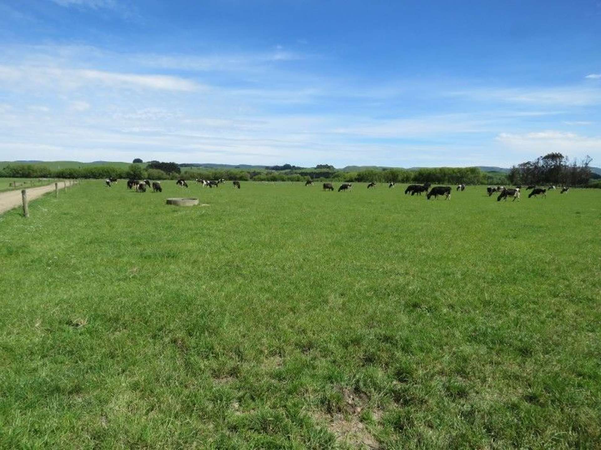 80 Avery Road Pahiatua_0