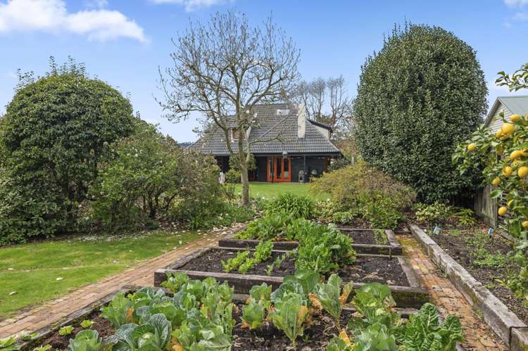 9 Moncur Drive Springfield_29