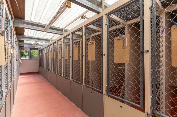 2C Kaitoke Loop Road Kaitoke_19