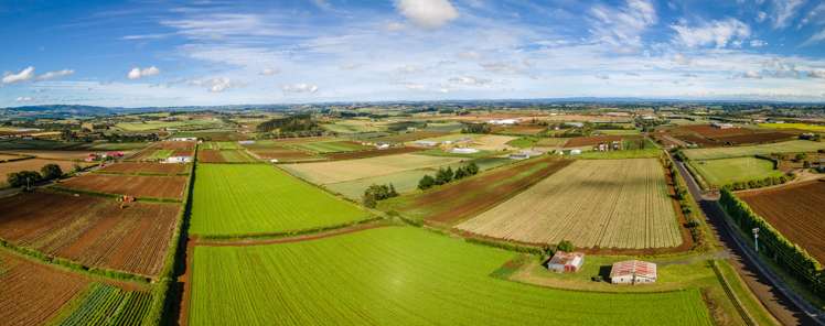 100 Hill Top Road Pukekohe_8