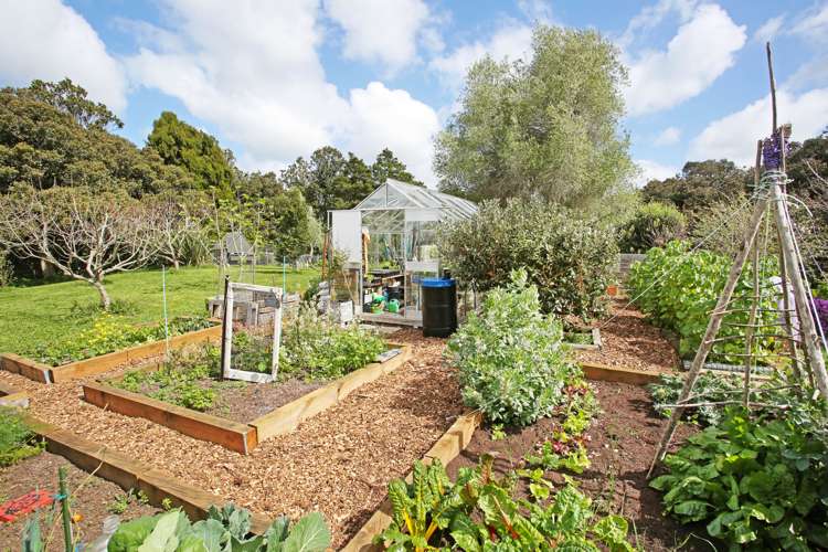 295 Settlement Road Puni_16