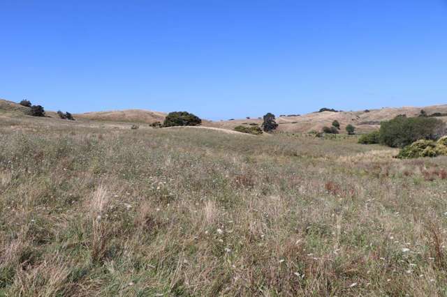 Te Akau Road Te Akau_2