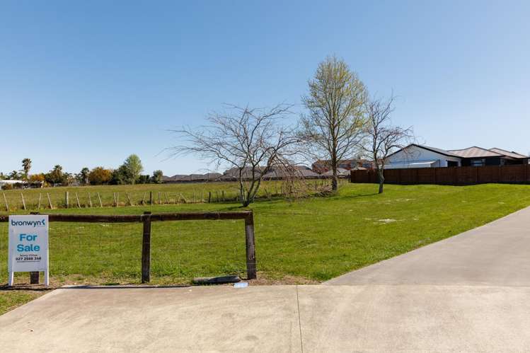 141 Potae Avenue_4