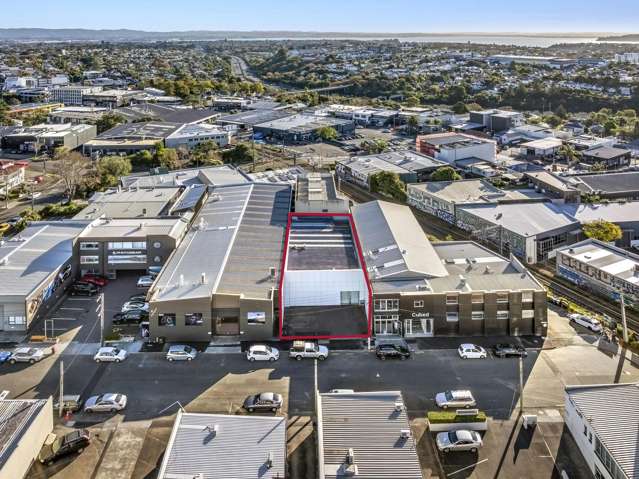 12 Akepiro Street Mt Eden_1