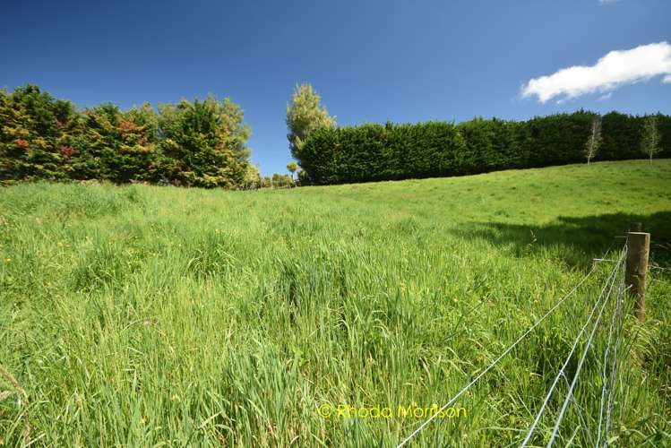 245 Metcalfe Road Matakohe_31