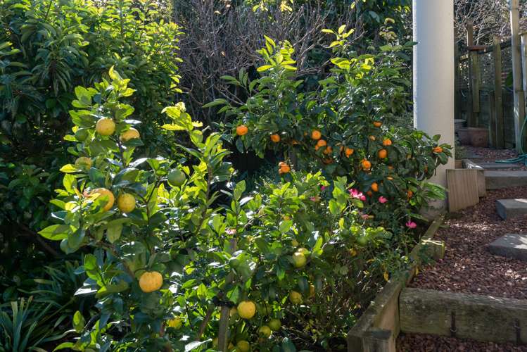 33a Gibraltar Street Howick_18