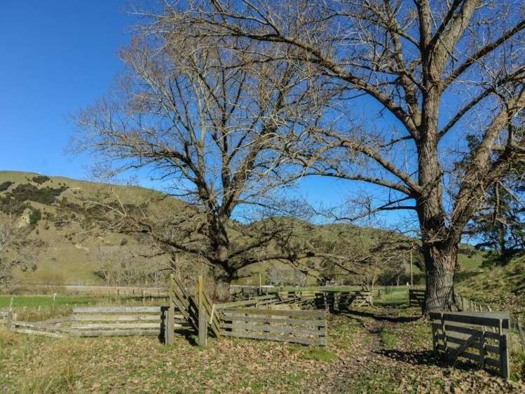 64 Waipunga Road Eskdale_8