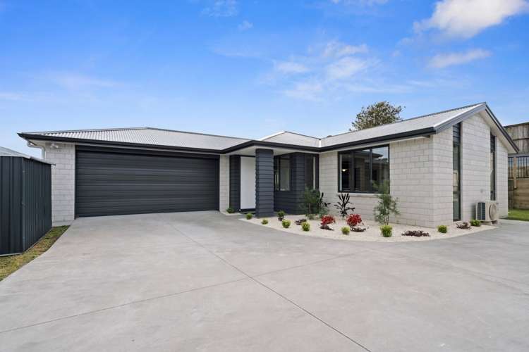 17 Whakaturou Crescent Pyes Pa_0