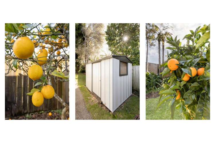 4 Elmes Place Matua_14