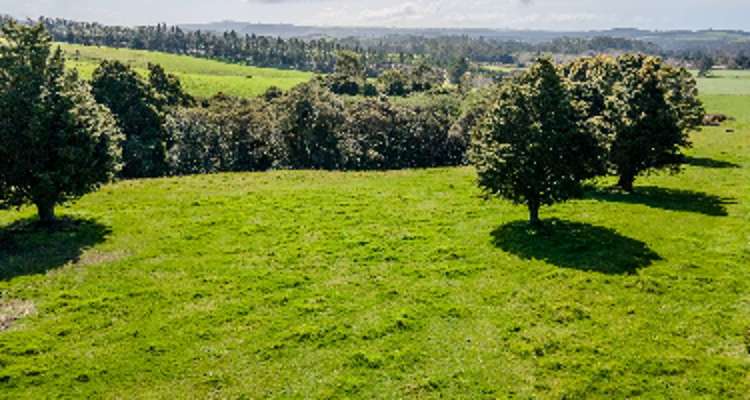 1/654 Pungaere Road_0