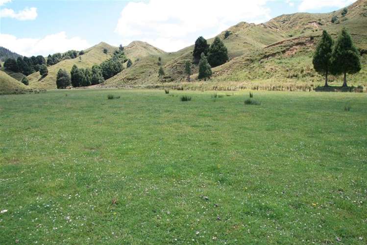 Walter Road Douglas_5