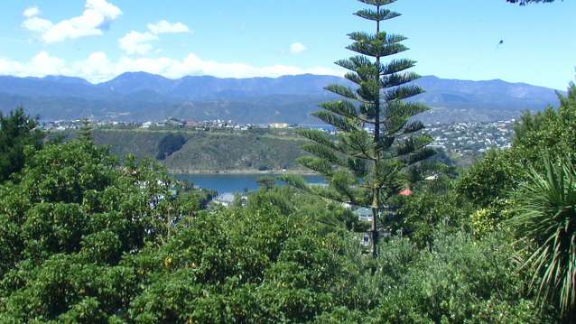 60 Marewa Road Hataitai_3