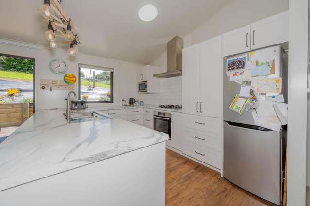 1052A Mangarino Road Hangatiki_2