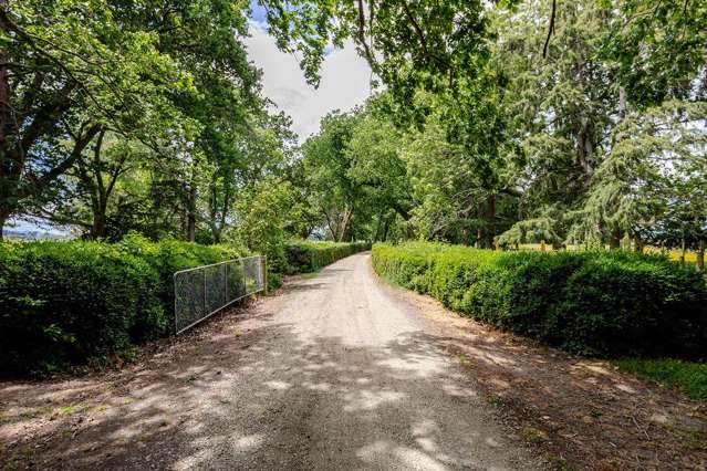 78286 State Highway II Dannevirke_3