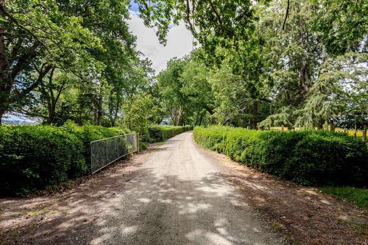 78286 State Highway II Dannevirke_3