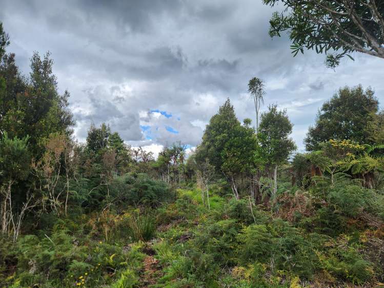 240 Maori Creek Road Marsden_10